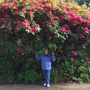 Meet your Posher, Delfina